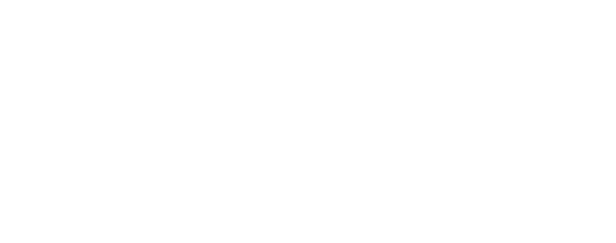 FSG Versoix